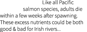 Like all Pacific salmon species, adults die within a few weeks after spawning. These excess nutrients could be both g...
