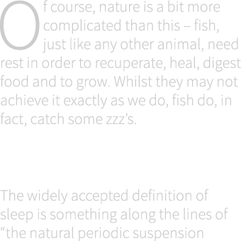 Of course, nature is a bit more complicated than this – fish, just like any other animal, need rest in order to recup...