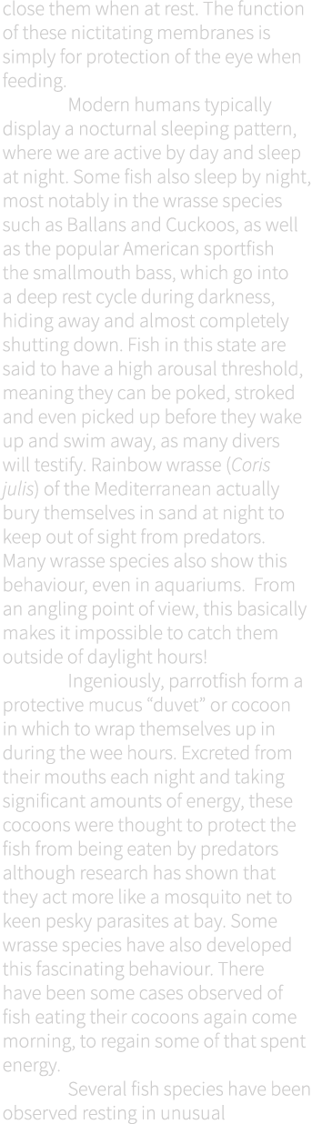 close them when at rest. The function of these nictitating membranes is simply for protection of the eye when feeding...