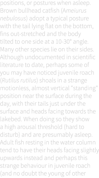 positions, or postures when asleep. Brown bullhead catfish (Ameiurus nebulosus) adopt a typical posture with the tail...