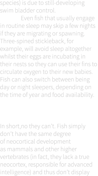 species) is due to still-developing swim bladder control. Even fish that usually engage in routine sleep may skip a f...