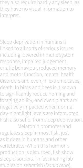they also require hardly any sleep, as they have no visual information to interpret.  Can fish go without sleep? Slee...