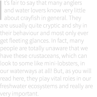 It’s fair to say that many anglers and water lovers know very little about crayfish in general. They are usually quit...