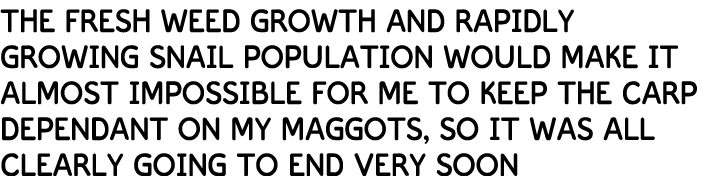 The fresh weed growth and rapidly growing snail population would make it almost impossible for me to keep the carp de...