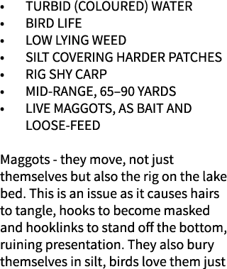 Turbid (coloured) water Bird life Low lying weed Silt covering harder patches Rig shy carp Mid-range, 65–90 yards Liv...