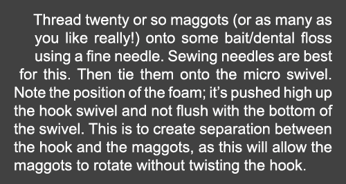Thread twenty or so maggots (or as many as you like really!) onto some bait/dental floss using a fine needle. Sewing ...