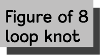 Figure of 8 loop knot