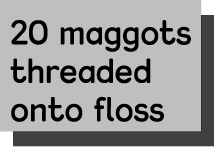 20 maggots threaded onto floss