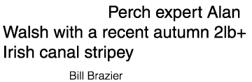 Cover shot: Perch expert Alan Walsh with a recent autumn 2lb+ Irish canal stripey  Photo credit: Bill Brazier