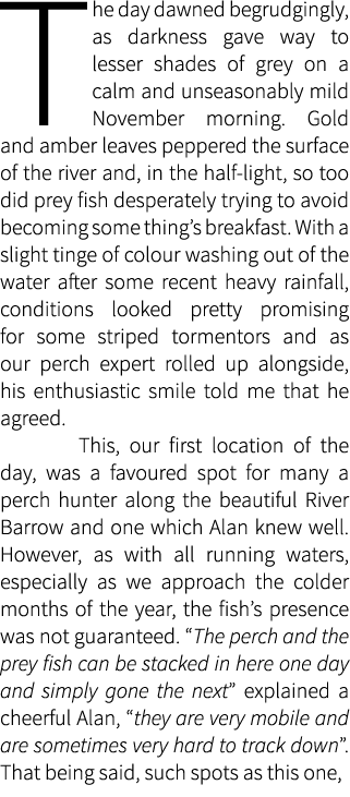 The day dawned begrudgingly, as darkness gave way to lesser shades of grey on a calm and unseasonably mild November m...