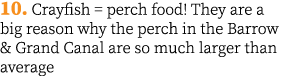 10. Crayfish = perch food! They are a big reason why the perch in the Barrow & Grand Canal are so much larger than av...