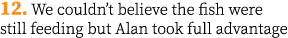 12. We couldn’t believe the fish were still feeding but Alan took full advantage