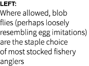 Left: Where allowed, blob flies (perhaps loosely resembling egg imitations) are the staple choice of most stocked fis...