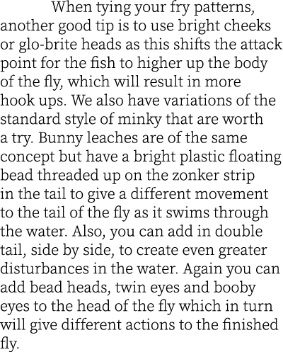  When tying your fry patterns, another good tip is to use bright cheeks or glo-brite heads as this shifts the attack ...