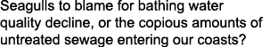 Seagulls to blame for bathing water quality decline, or the copious amounts of untreated sewage entering our coasts?