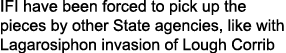 IFI have been forced to pick up the pieces by other State agencies, like with Lagarosiphon invasion of Lough Corrib