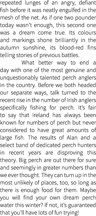 repeated lunges of an angry, defiant fish before it was neatly engulfed in the mesh of the net. As if one two pounder...