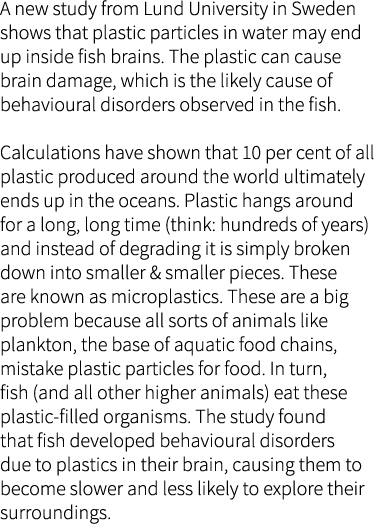 A new study from Lund University in Sweden shows that plastic particles in water may end up inside fish brains. The p...