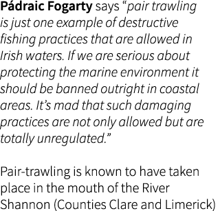 Pádraic Fogarty says “pair trawling is just one example of destructive fishing practices that are allowed in Irish wa...