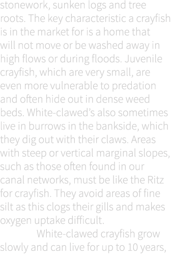 stonework, sunken logs and tree roots. The key characteristic a crayfish is in the market for is a home that will not...