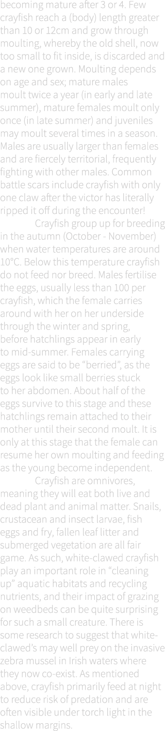 becoming mature after 3 or 4. Few crayfish reach a (body) length greater than 10 or 12cm and grow through moulting, w...