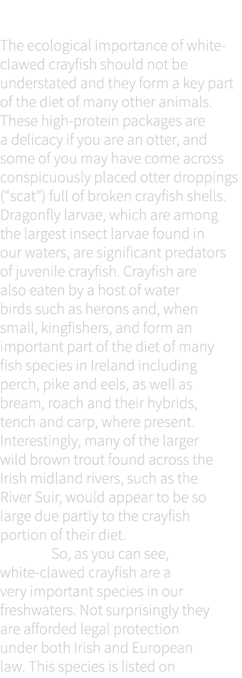 Importance of crayfish The ecological importance of white-clawed crayfish should not be understated and they form a k...