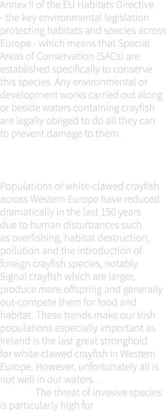 Annex II of the EU Habitats Directive - the key environmental legislation protecting habitats and species across Euro...