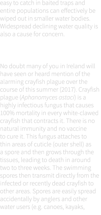 easy to catch in baited traps and entire populations can effectively be wiped out in smaller water bodies. Widespread...