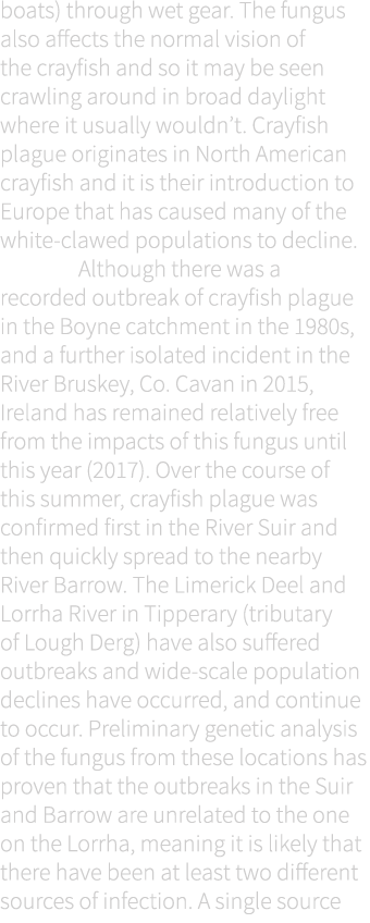 boats) through wet gear. The fungus also affects the normal vision of the crayfish and so it may be seen crawling aro...