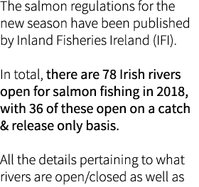 The salmon regulations for the new season have been published by Inland Fisheries Ireland (IFI). In total, there are ...