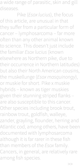 a wide range of parasitic, skin and gill diseases.  Pike (Esox lucius), the focus of this article, are unusual in tha...