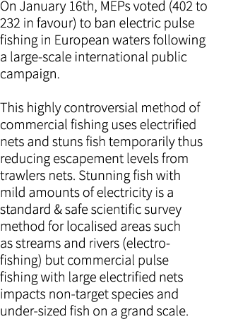 On January 16th, MEPs voted (402 to 232 in favour) to ban electric pulse fishing in European waters following a large...