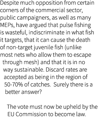Despite much opposition from certain corners of the commercial sector, public campaigners, as well as many MEPs, have...