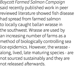 Boycott Farmed Salmon Campaign said recently published work in peer reviewed literature showed fish disease had sprea...