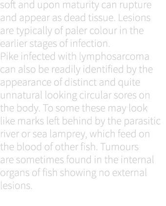 soft and upon maturity can rupture and appear as dead tissue. Lesions are typically of paler colour in the earlier st...