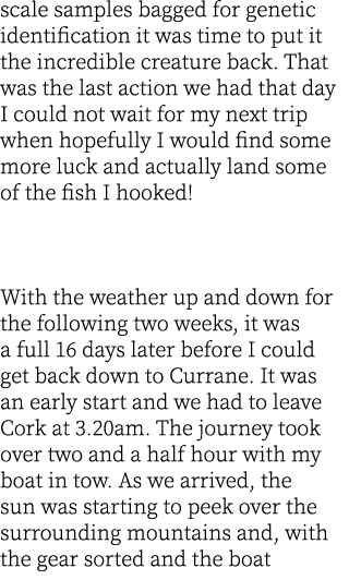 scale samples bagged for genetic identification it was time to put it the incredible creature back. That was the last...