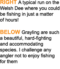 Right A typical run on the Welsh Dee where you could be fishing in just a matter of hours! Below Grayling are such a ...