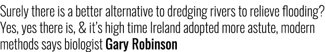 Surely there is a better alternative to dredging rivers to relieve flooding? Yes, yes there is, & it’s high time Irel...