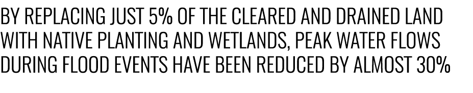 By replacing just 5% of the cleared and drained land with native planting and wetlands, peak water flows during flood...