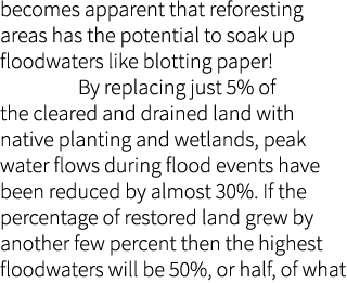 becomes apparent that reforesting areas has the potential to soak up floodwaters like blotting paper! By replacing ju...