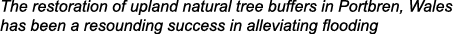 The restoration of upland natural tree buffers in Portbren, Wales has been a resounding success in alleviating flooding