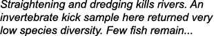 Straightening and dredging kills rivers. An invertebrate kick sample here returned very low species diversity. Few fi...