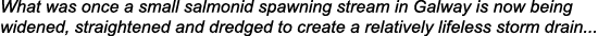 What was once a small salmonid spawning stream in Galway is now being widened, straightened and dredged to create a r...