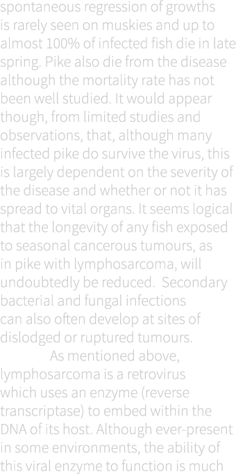 spontaneous regression of growths is rarely seen on muskies and up to almost 100% of infected fish die in late spring...