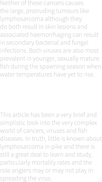 Neither of these cancers causes the large, protruding tumours like lymphosarcoma although they do both result in skin...
