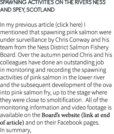 Spawning activities on the Rivers Ness and Spey, Scotland In my previous article (click here) I mentioned that spawni...