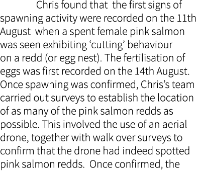  Chris found that the first signs of spawning activity were recorded on the 11th August when a spent female pink salm...