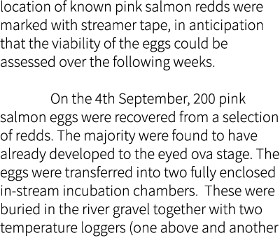 location of known pink salmon redds were marked with streamer tape, in anticipation that the viability of the eggs co...