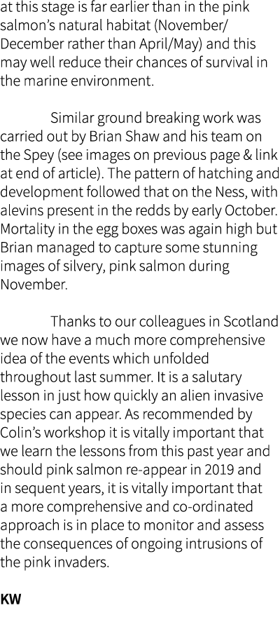 at this stage is far earlier than in the pink salmon’s natural habitat (November/December rather than April/May) and ...