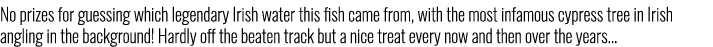 No prizes for guessing which legendary Irish water this fish came from, with the most infamous cypress tree in Irish ...